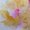 Membre-9795-7954