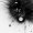 Guillaume Defoort
