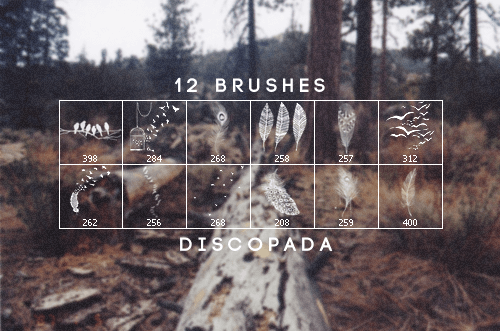12-brushes-discopada
