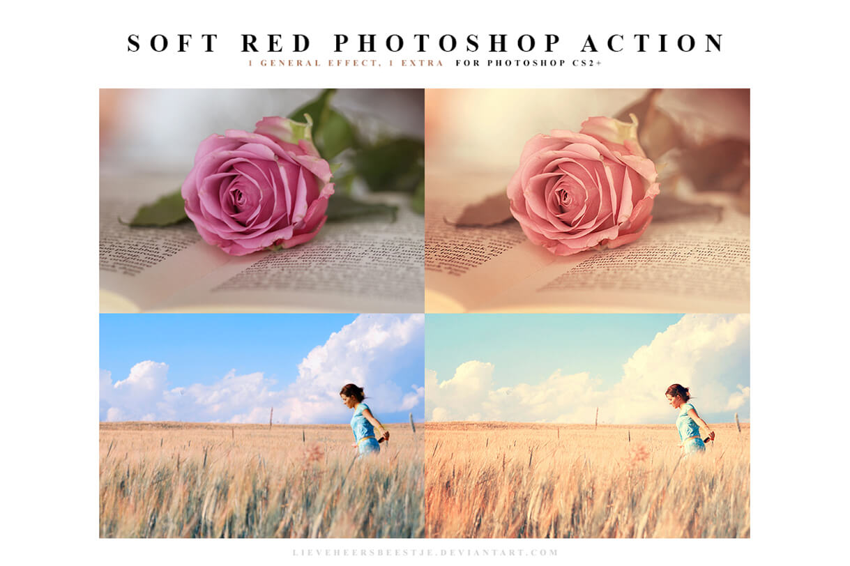 action-script-soft-red