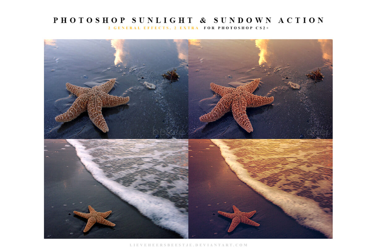 action-script-sundlight-sunset