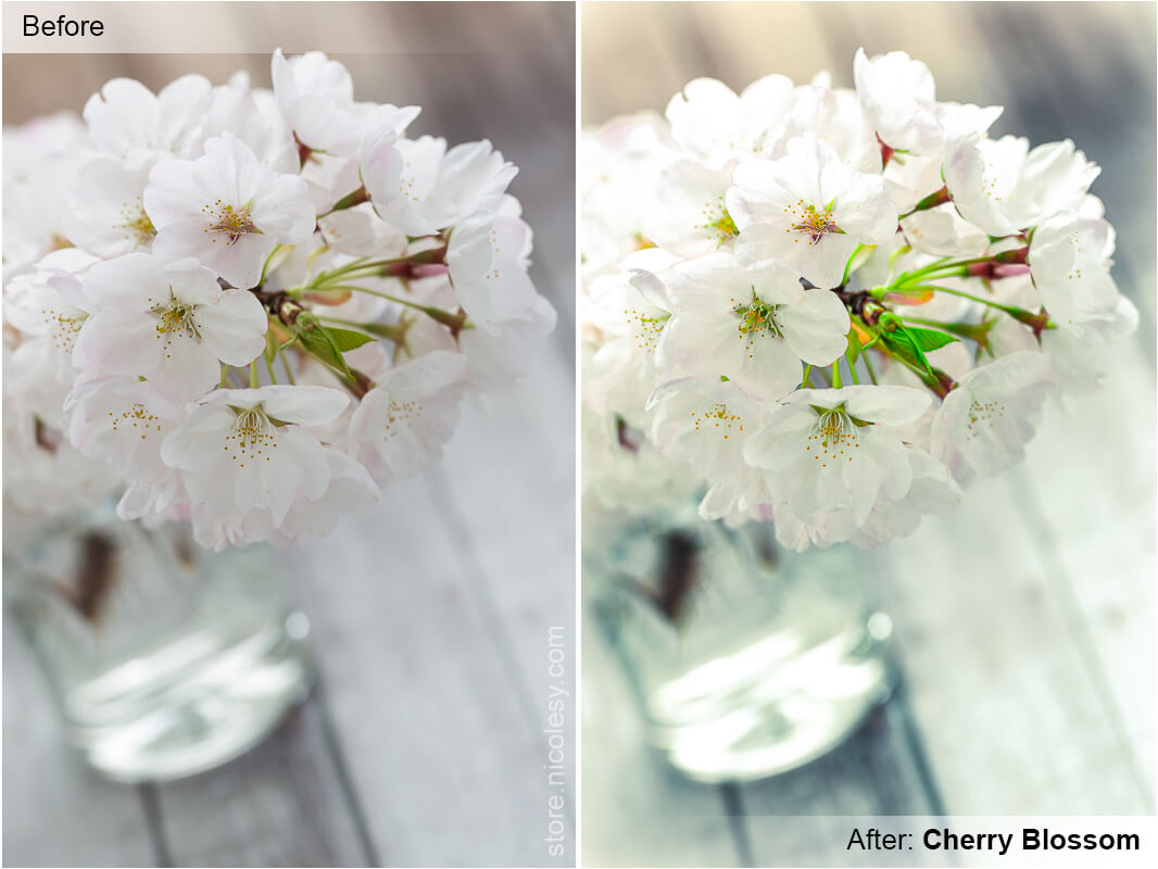 cherry-blossom-lightroom-preses