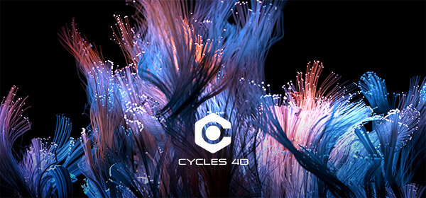 cycles-4d