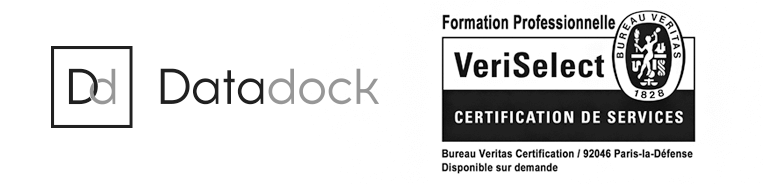 DataDock VeriSelect