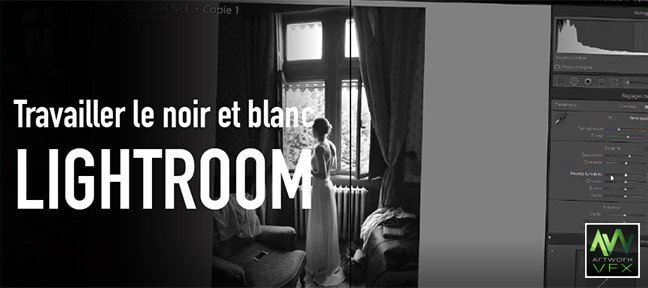 tuto-gratuit-lightroom-noir-blanc-mariage