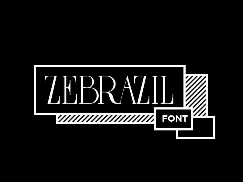zebrazil-typo-police