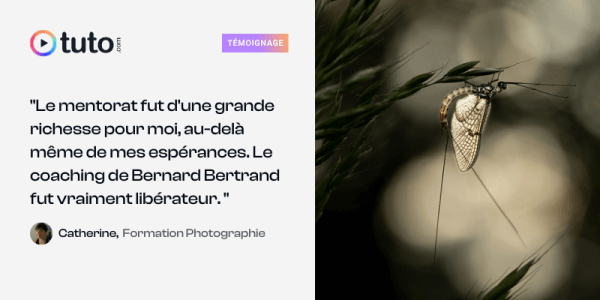 Formation en Photographie : le fabuleux travail de Catherine