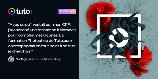Le Parcours Photoshop suivi par Nadège : entre passion et reconversion