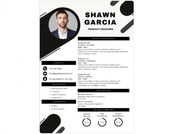 15 Meilleurs Modèles de CV Gratuits sur Canva - Blog Tuto.com