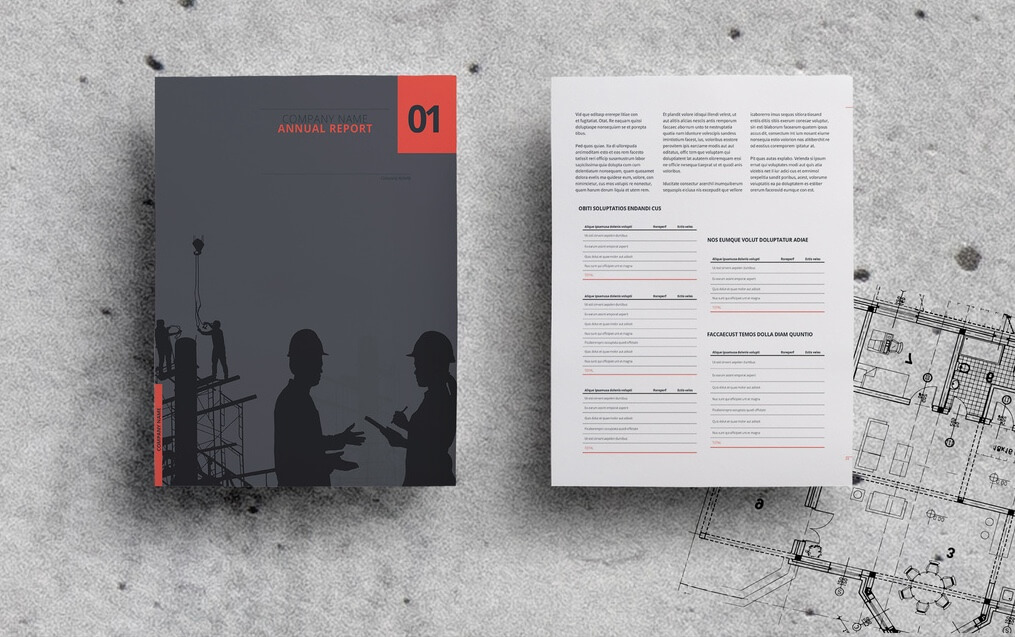 rapport annuel indesign