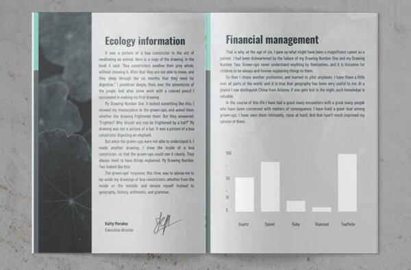 12 Modèles Gratuits de Rapports Annuels - Blog Tuto.com