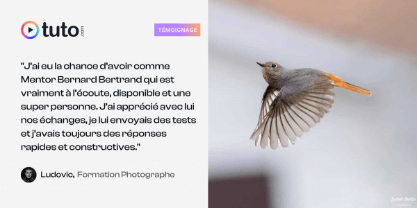 À l'approche de la retraite, Ludovic explore sa passion pour la photographie