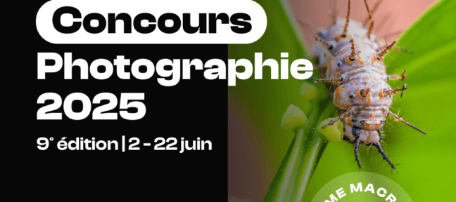Résultats Concours Photo 2025 : la Macrophotographie