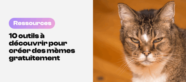 10 outils pour créer des mèmes gratuitement 1768214425-memes_video_gratuits