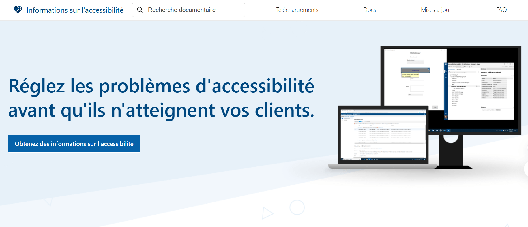 Accessibility Insights