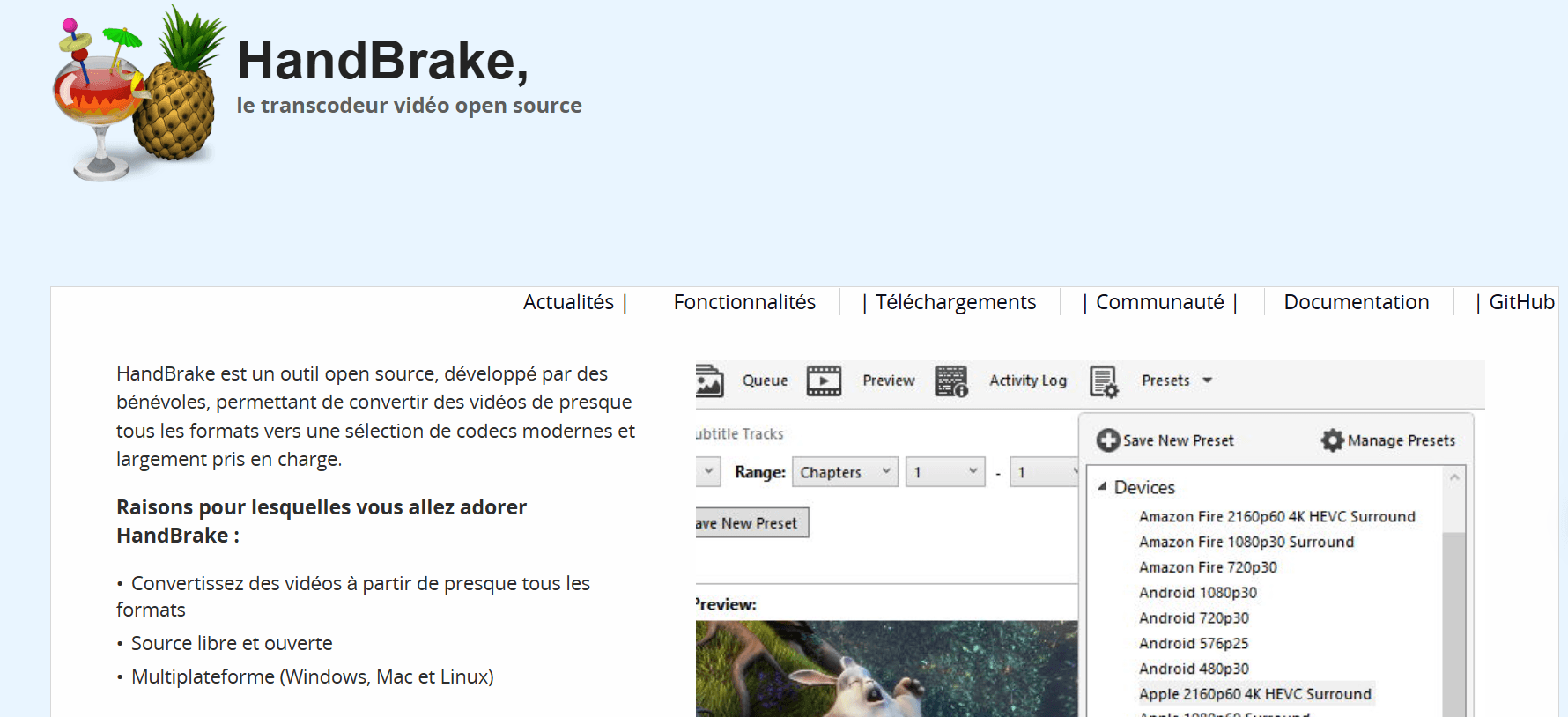 Handbrake