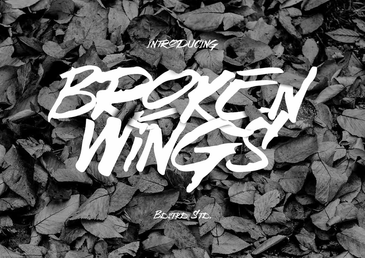 broken-wings