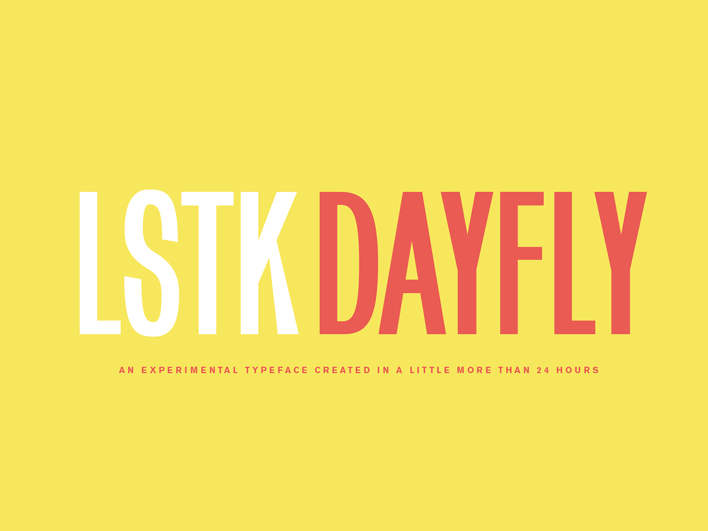 dayfly