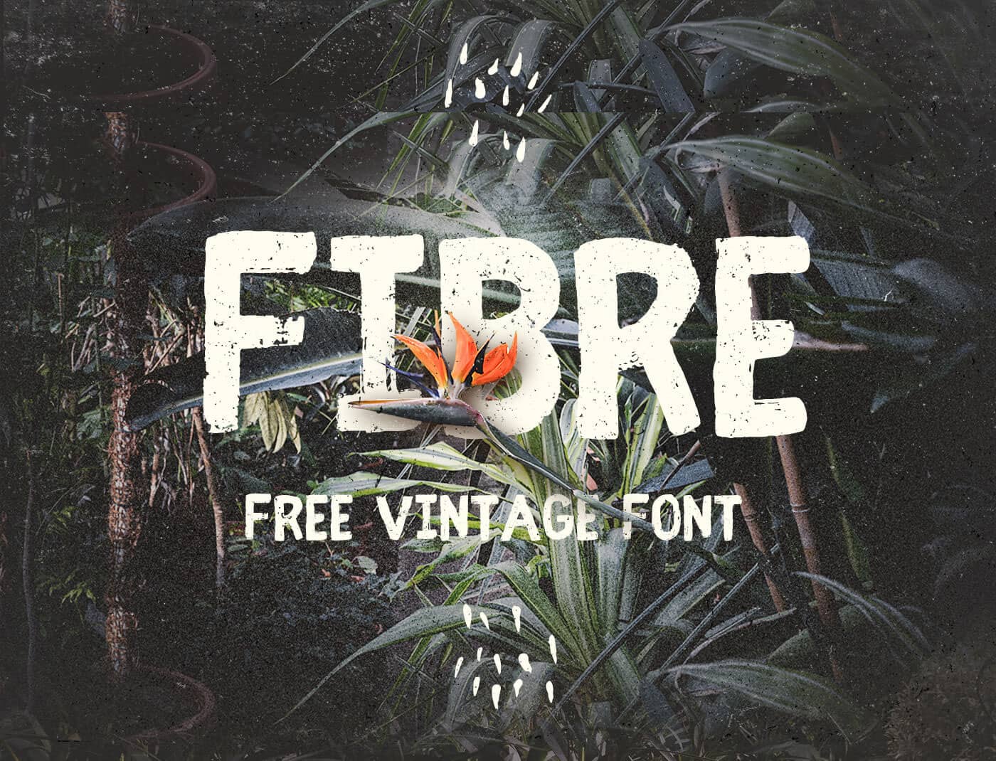 fibre-font