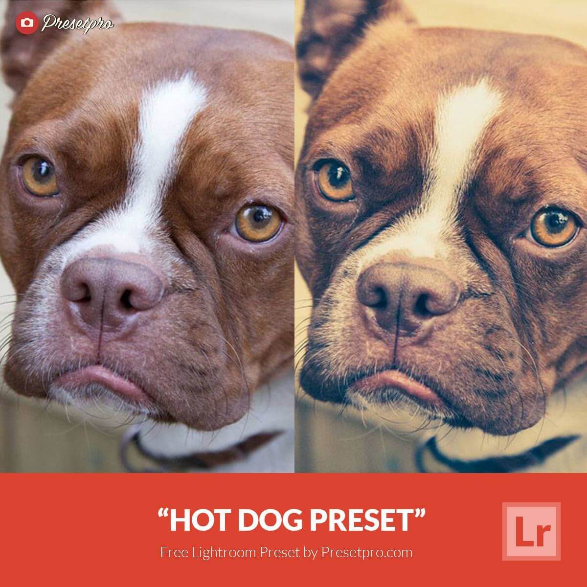 hot-dog-preset