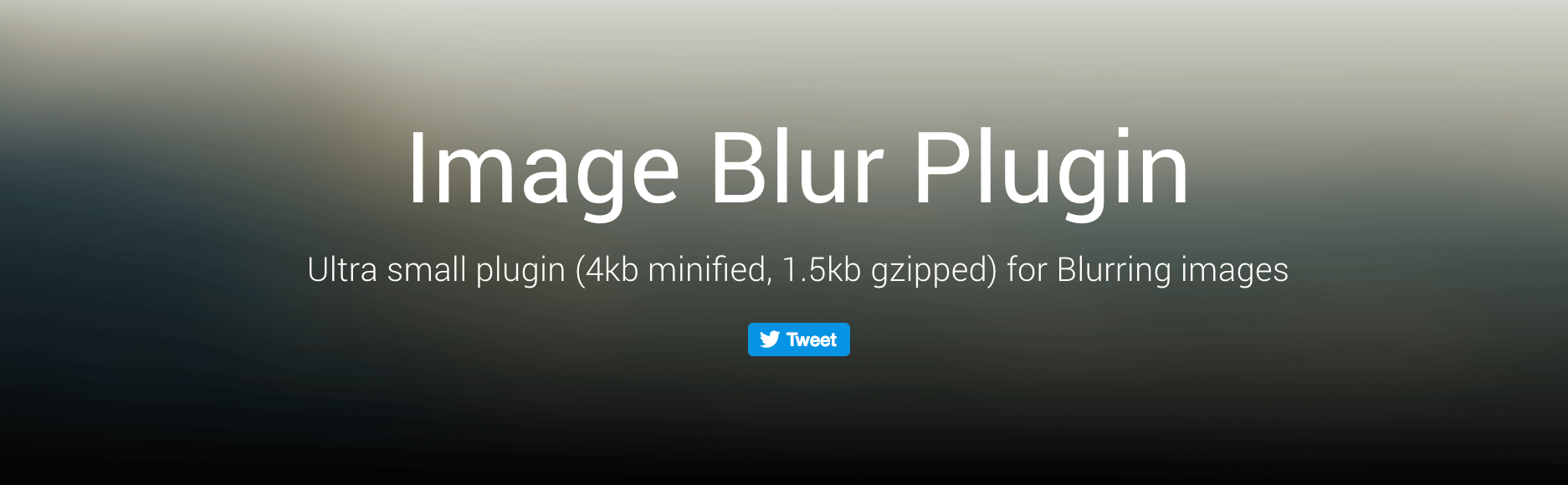 image-blur-plugin