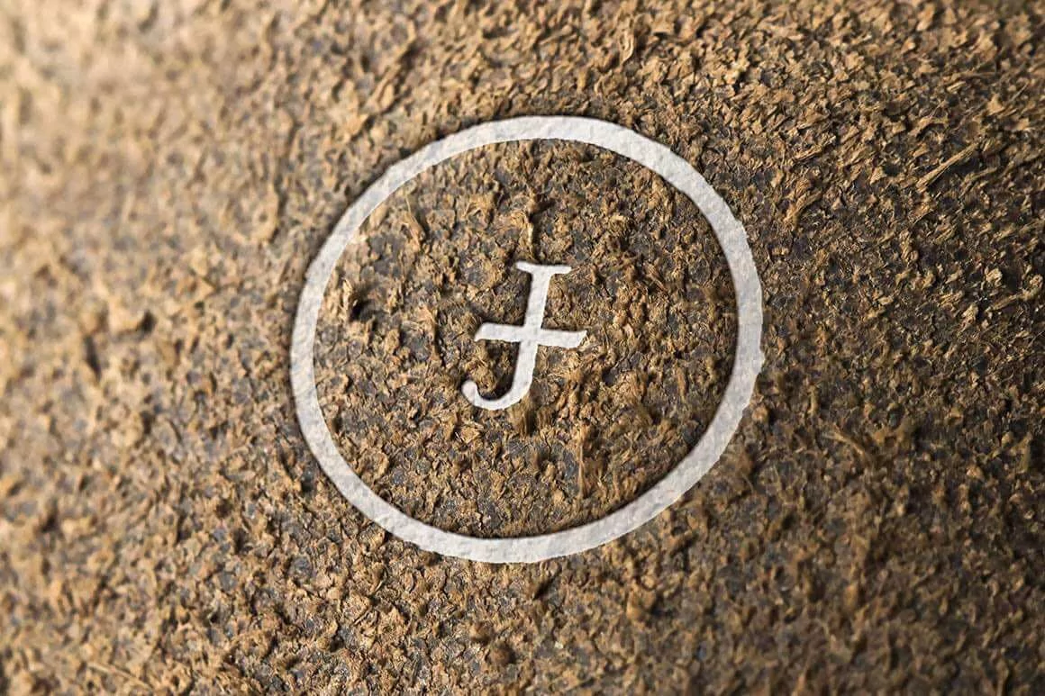 mockup-logo-grave-pierre