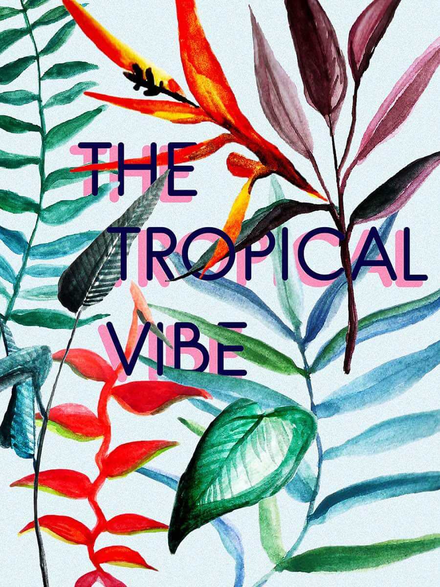 tropical-vibe