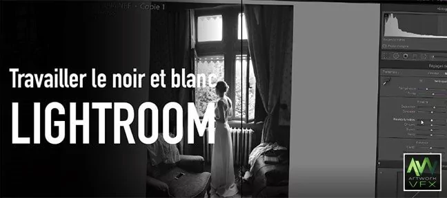 Lightroom 17 presets Noir et Blanc gratuits t l charger