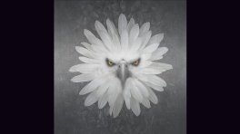 projet apprenant tuto.com Pascal Granger