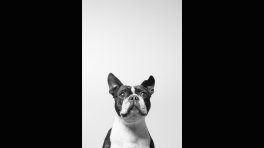 projet apprenant tuto.com Jérémy Descatoire
